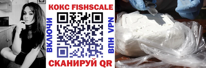 Cocaine FishScale  мега сайт  Дзержинский 