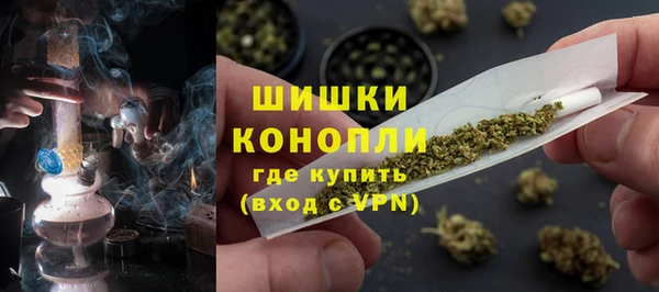 гидра Алексеевка