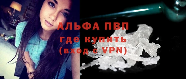гидра Алексеевка